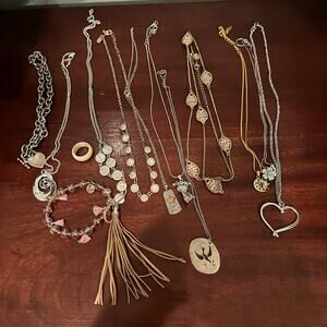 Mixed Lot 14 pieces Charming Charlie Necklace Fashion Costume Jewelry Bundle